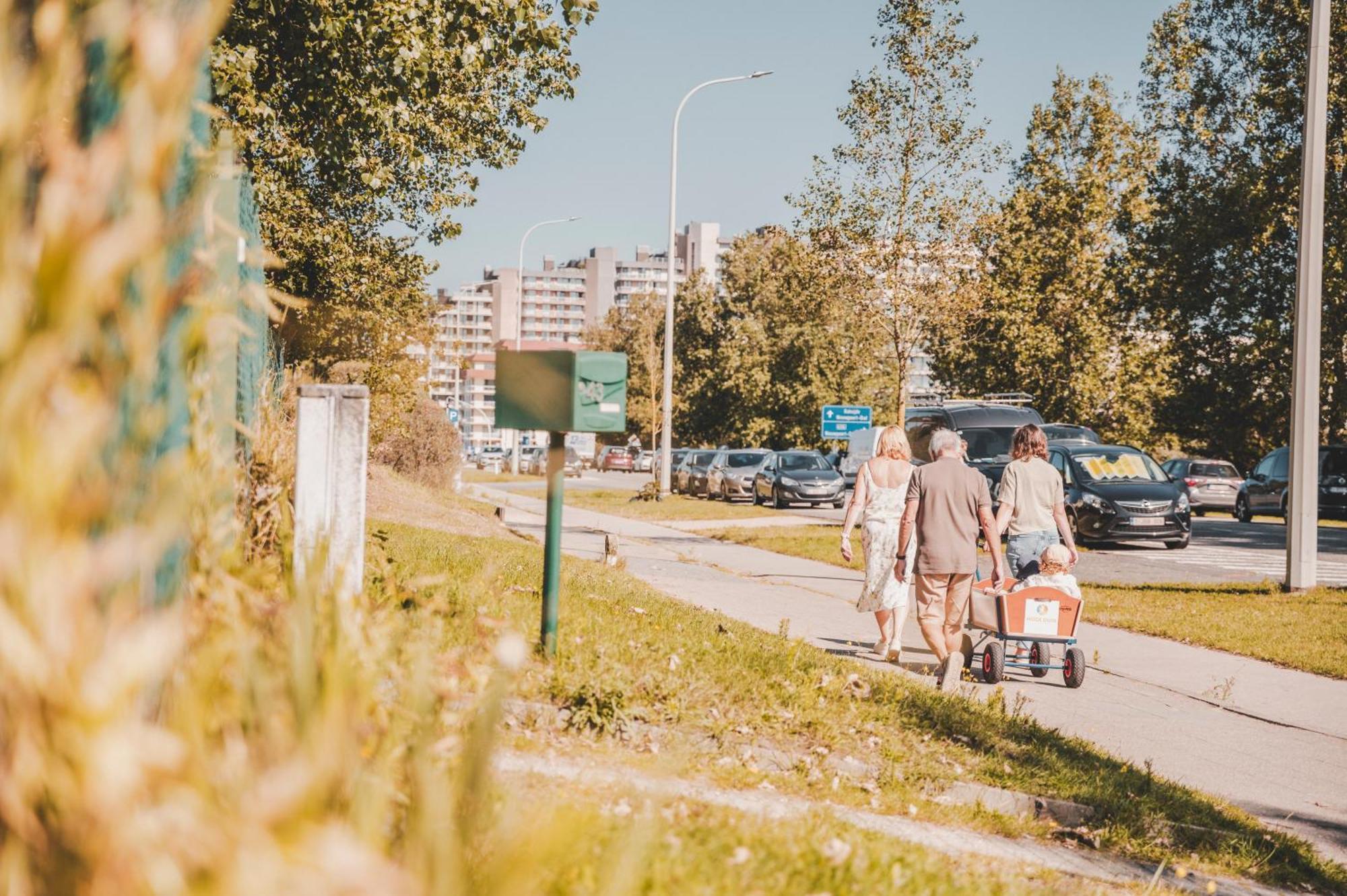 Vakantiedomein Hoge Duin Oostduinkerke Exteriör bild